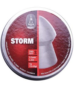 BSA Storm .22 / 5.5mm Pellets