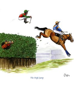 Bryn Parry 'The High Jump' Horse Greeting Card