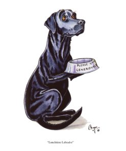 Bryn Parry 'Lunchtime Labrador' Dog Greeting Card